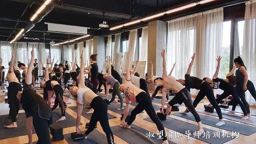 瑜伽学院,瑜伽学院全方位课程概览