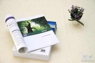 信 手紙 2006,时光流转中的情感共鸣