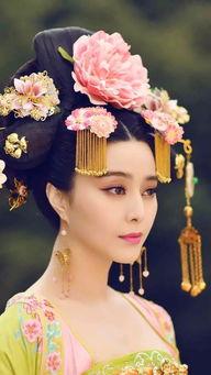 落榜后我成贵妃面首权倾天下